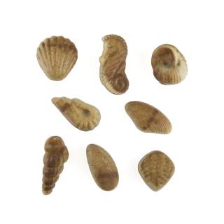 Bio-Meeresfrüchte mit zartschmelzender Füllung; 150 g